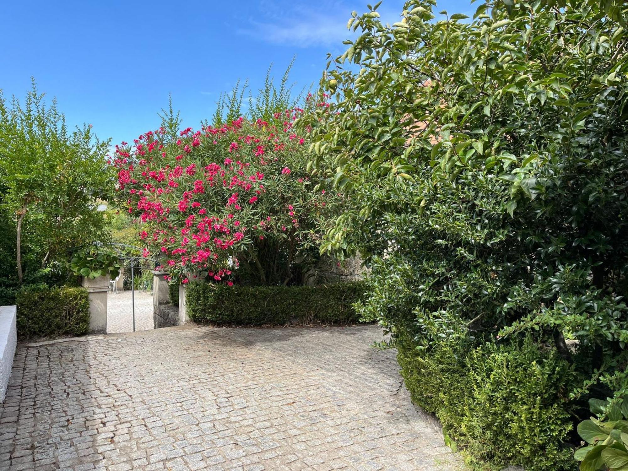 Villa Quinta Santo Antonio Do Rio Celorico Da Beira Exterior foto